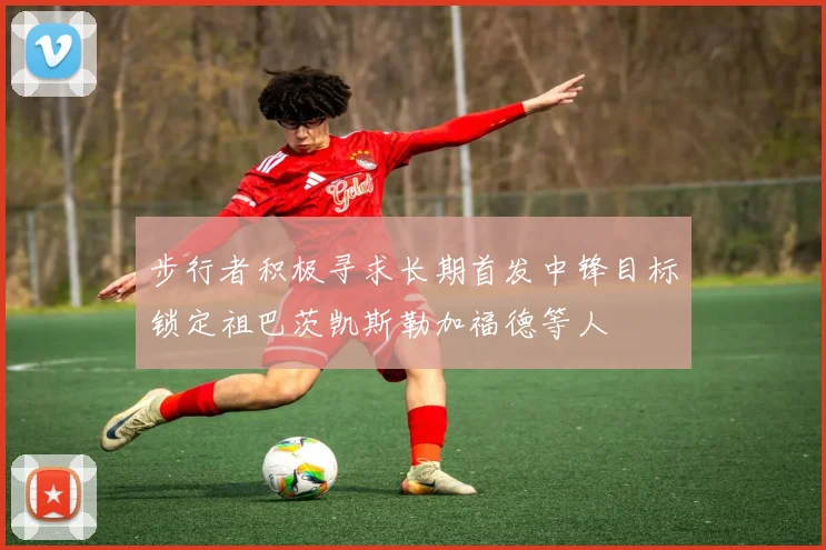 步行者积极寻求长期首发中锋目标锁定祖巴茨凯斯勒加福德等人