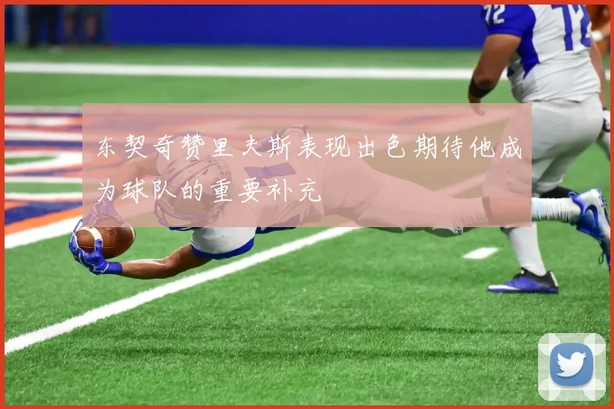 东契奇赞里夫斯表现出色期待他成为球队的重要补充